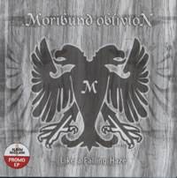 Moribund Oblivion : Like a Falling Haze